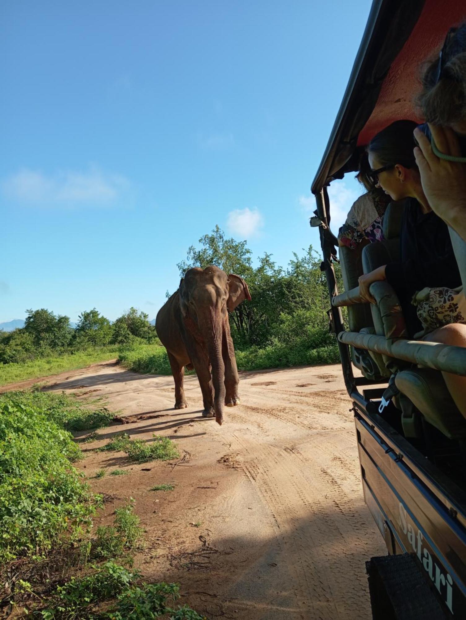 Tusker'S Paradise Safari Villa Udawalawe Esterno foto