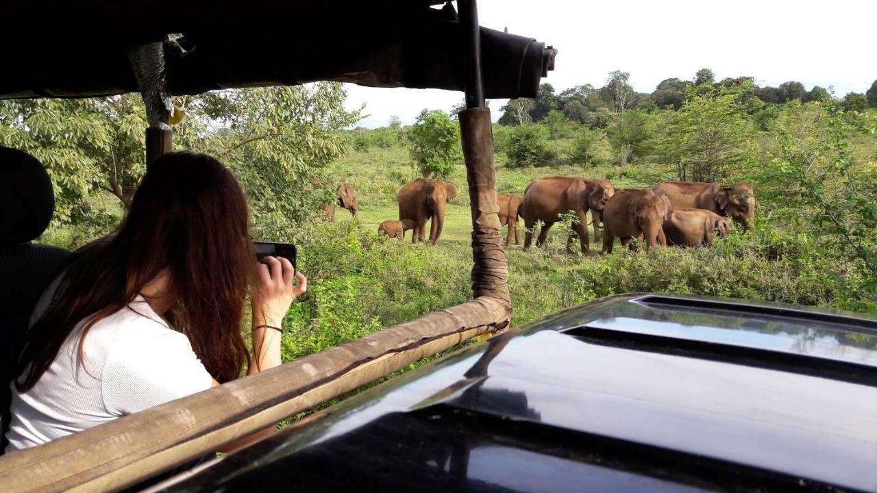 Tusker'S Paradise Safari Villa Udawalawe Esterno foto