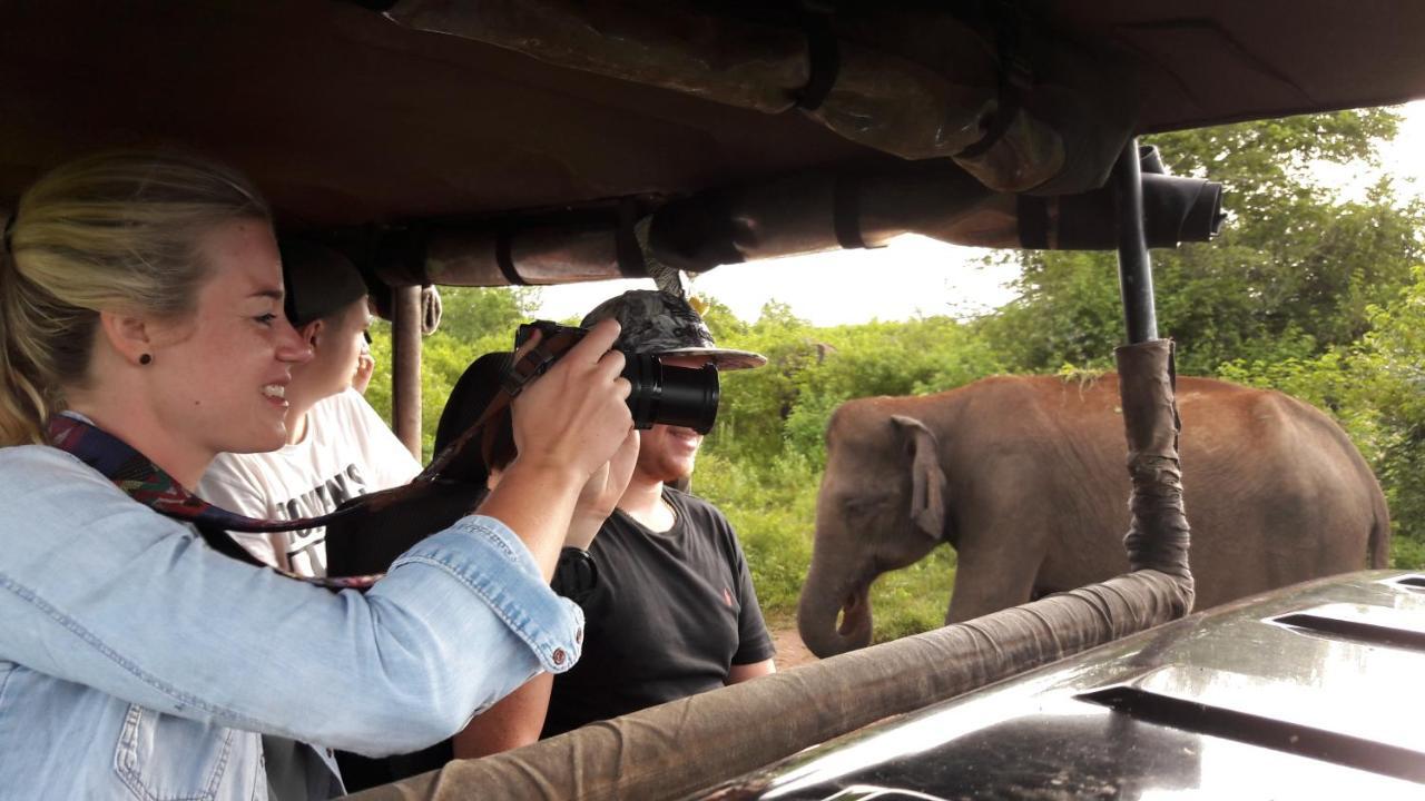 Tusker'S Paradise Safari Villa Udawalawe Esterno foto