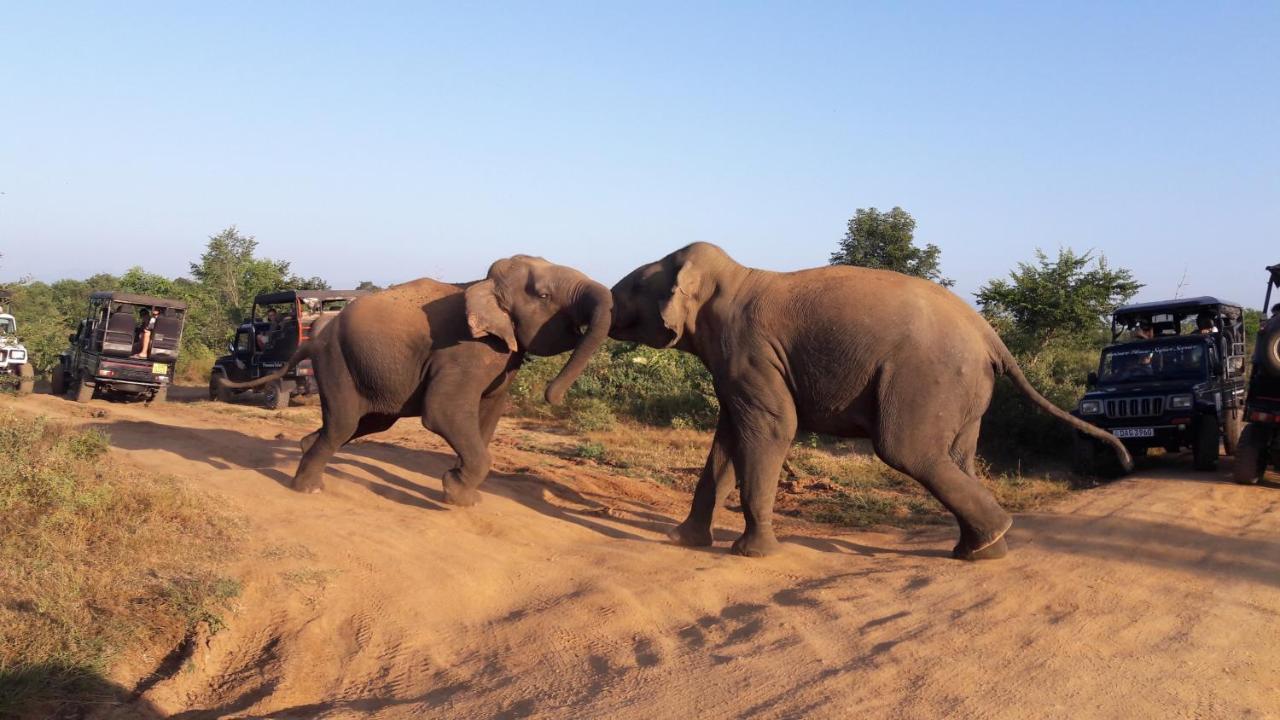 Tusker'S Paradise Safari Villa Udawalawe Esterno foto